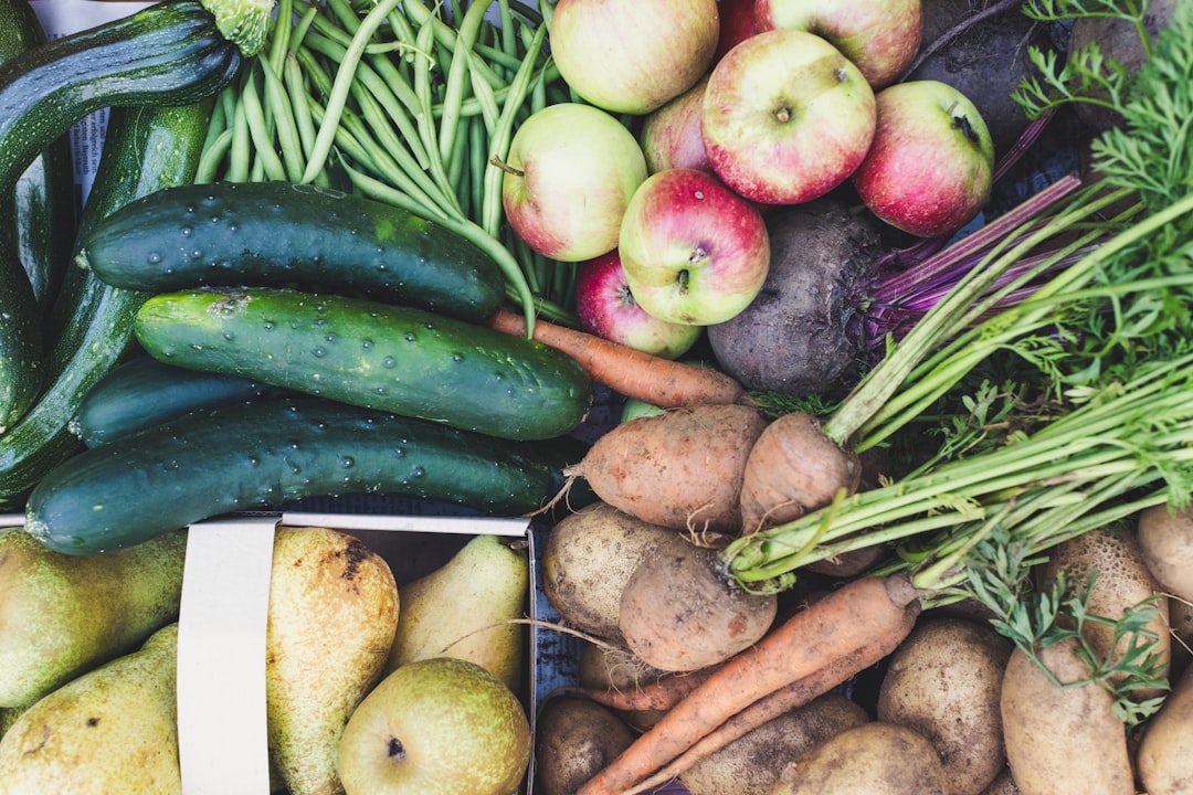 Sustainability Messages Resonate with Modern Consumers (image credits: unsplash)