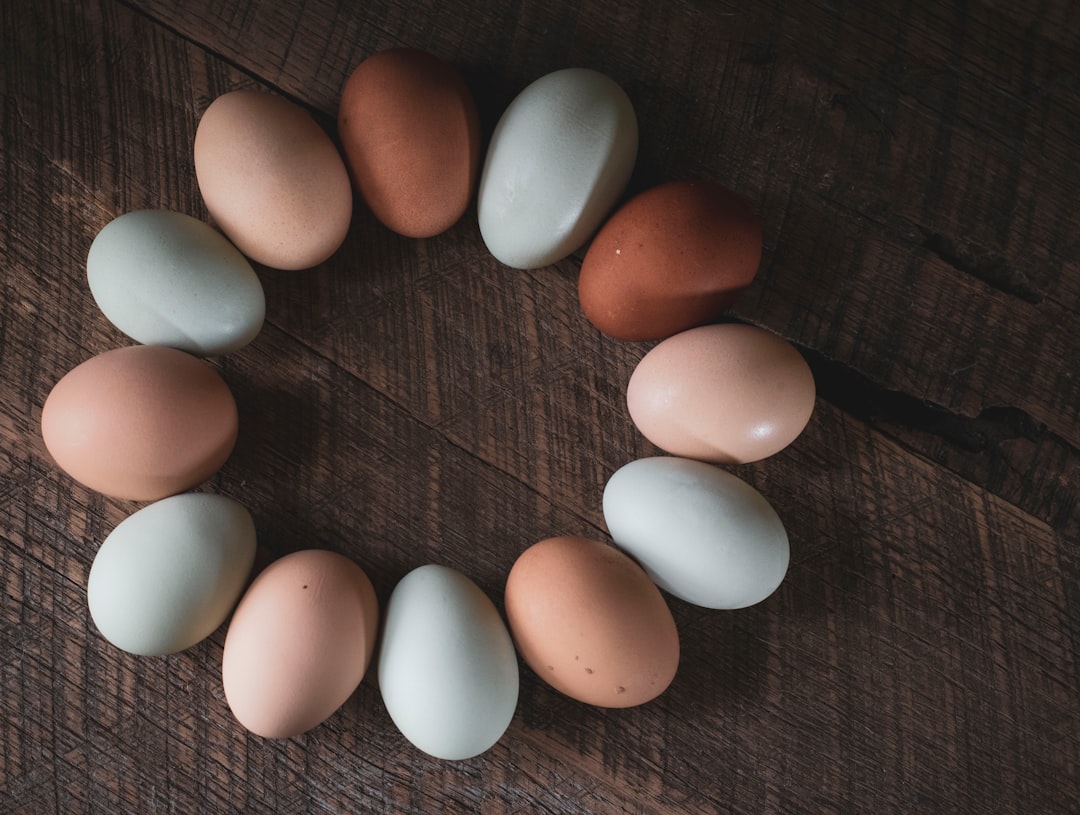 Free-Range Eggs (image credits: unsplash)