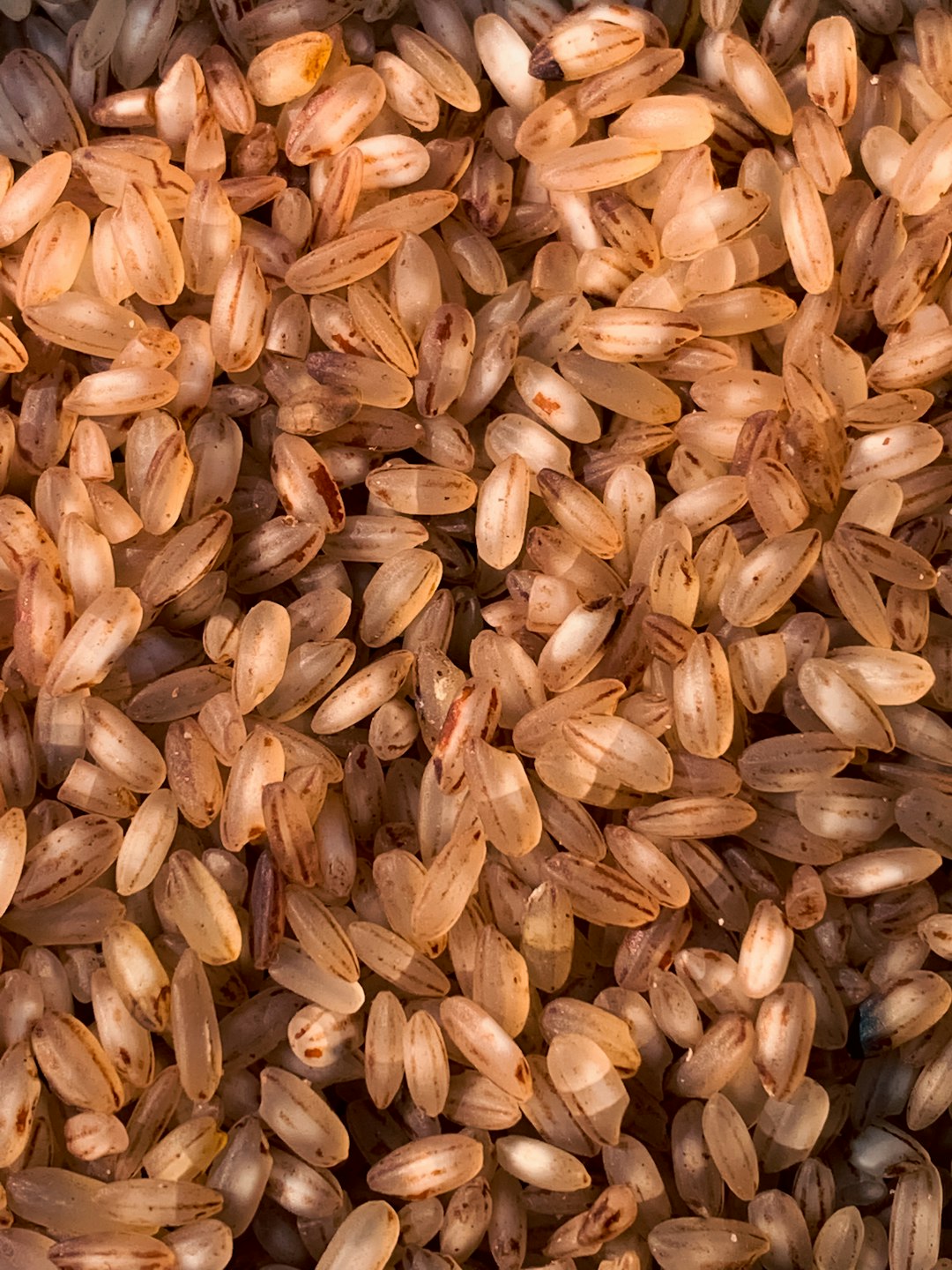 Whole-Wheat Bread and Brown Rice (image credits: unsplash)