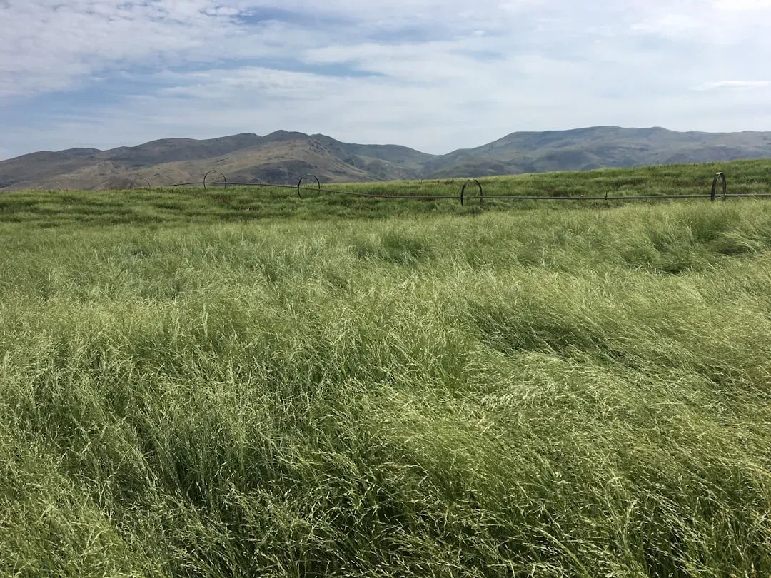 Conclusion (Image Credits: Unsplash)