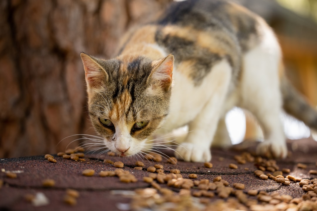 Ignoring Food Allergies (image credits: unsplash)