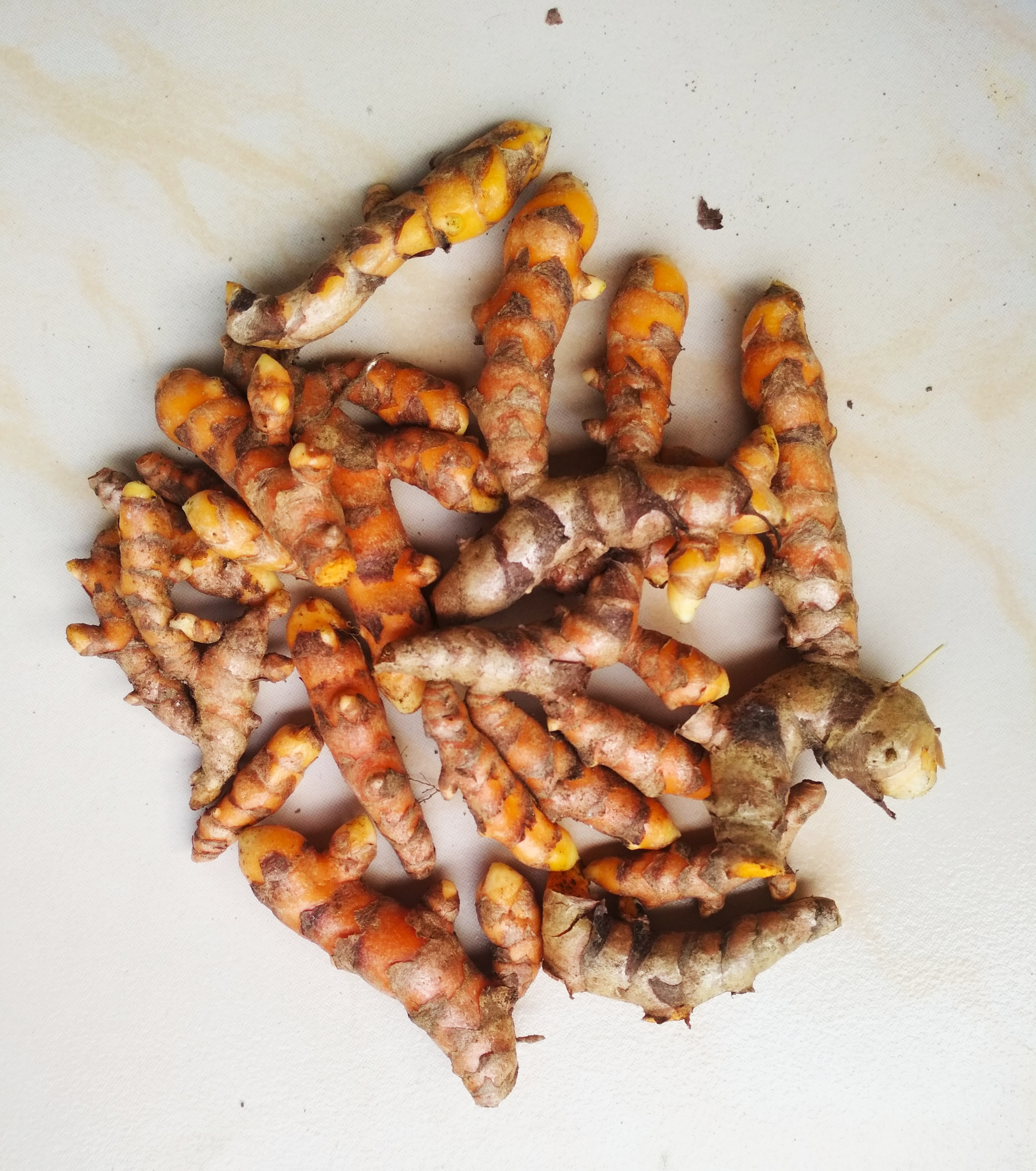 Turmeric (image credits: wikimedia)