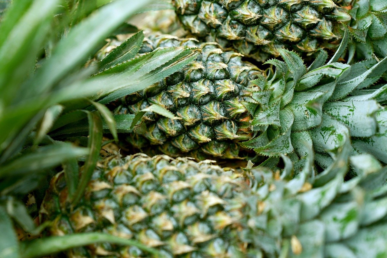 Pineapple (image credits: pixabay)