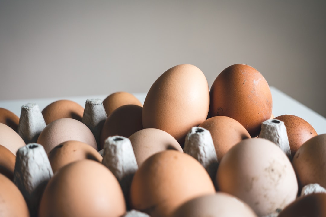 Eggs: The Brain's Building Blocks (image credits: unsplash)