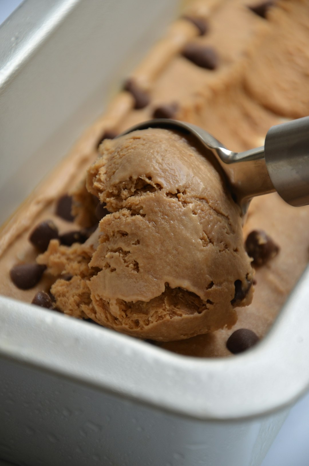 Black Walnut (image credits: unsplash)