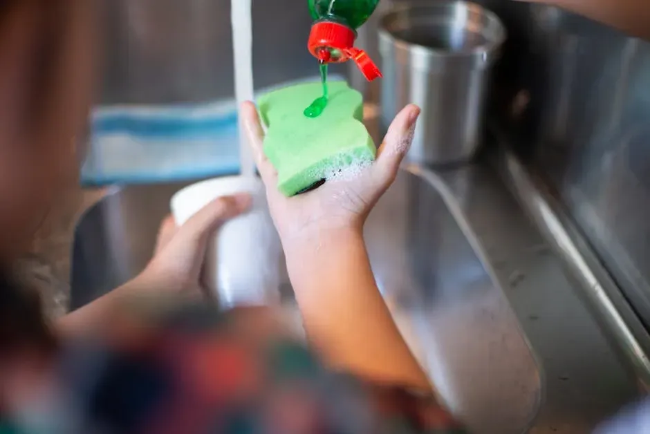 3. The Kitchen Sponge Situation (Image Credits: Pexels)