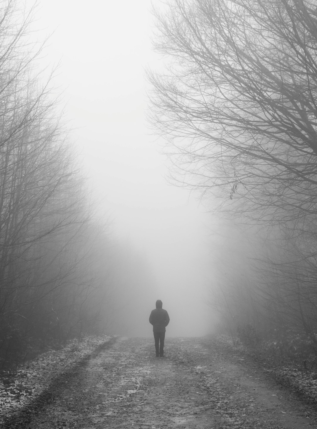 Cognitive Fog: The Mental Cloud No One Talks About (image credits: unsplash)