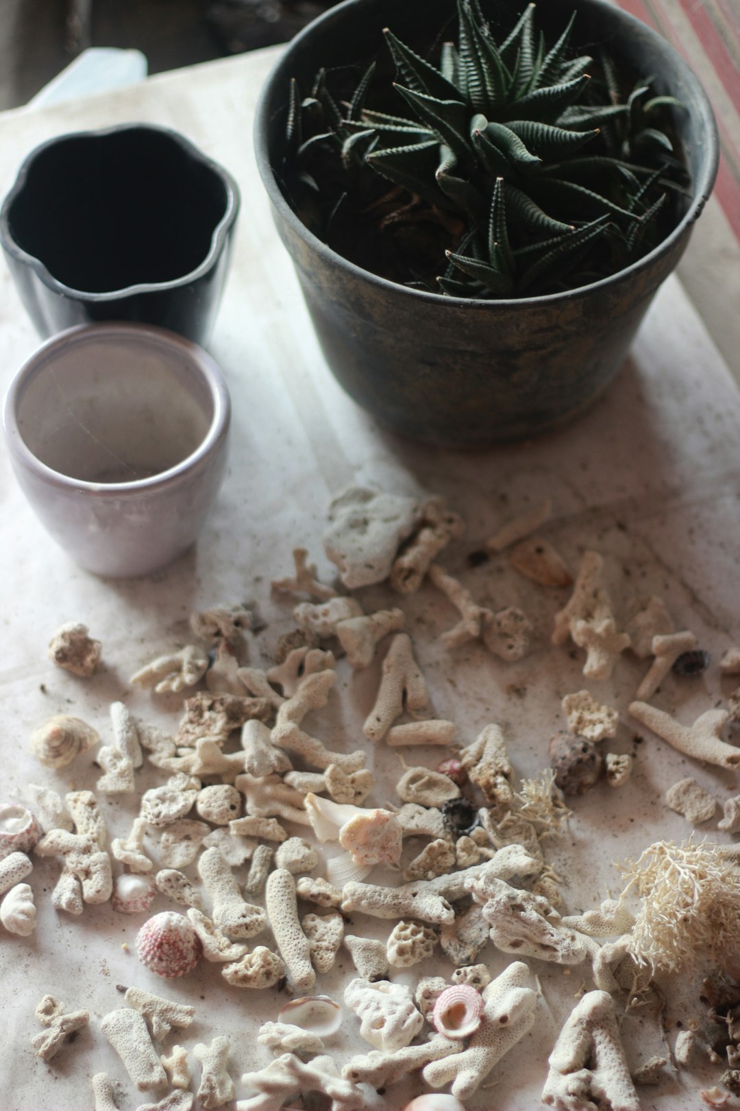 Cooked Bones - The False Security Blanket (image credits: unsplash)