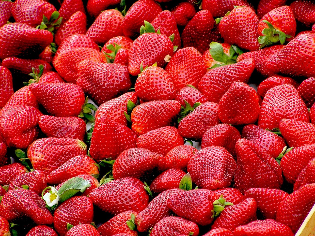 Strawberries (image credits: pixabay)