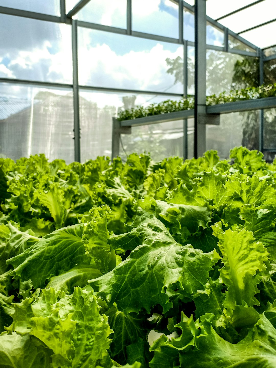 Technology Transforms Food Distribution Networks (Image Credits: Unsplash)