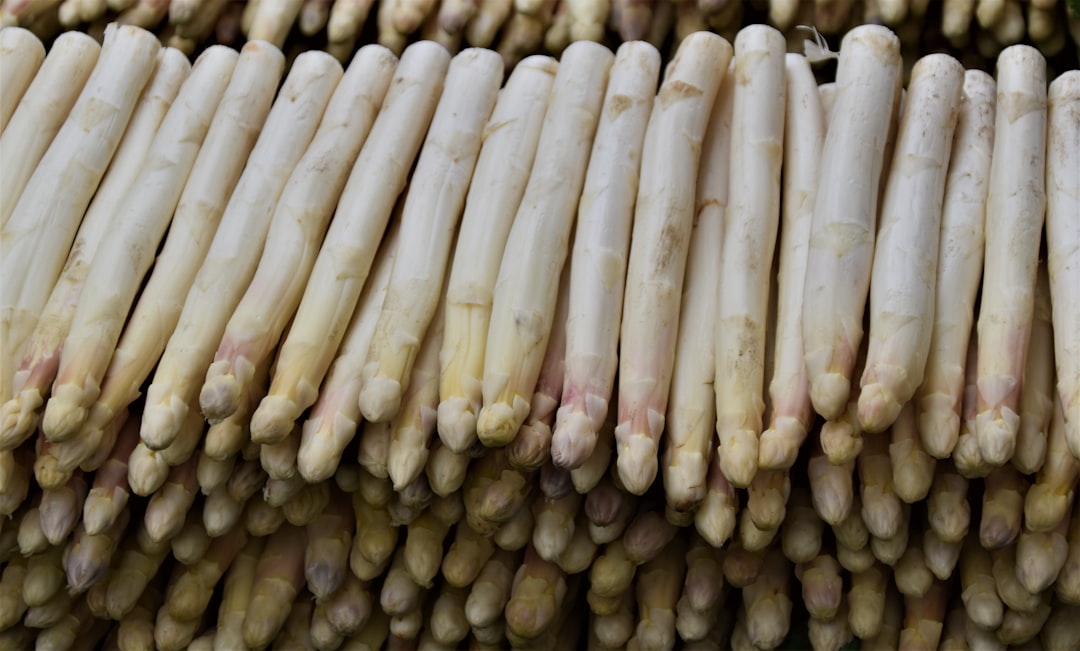 Brazil's Forgotten Cassava Celebration (image credits: unsplash)