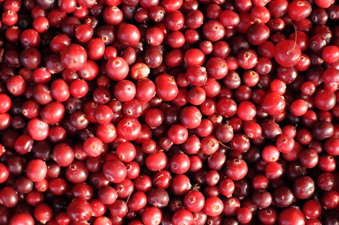 Cranberries: The Urinary Health Champions (image credits: unsplash)