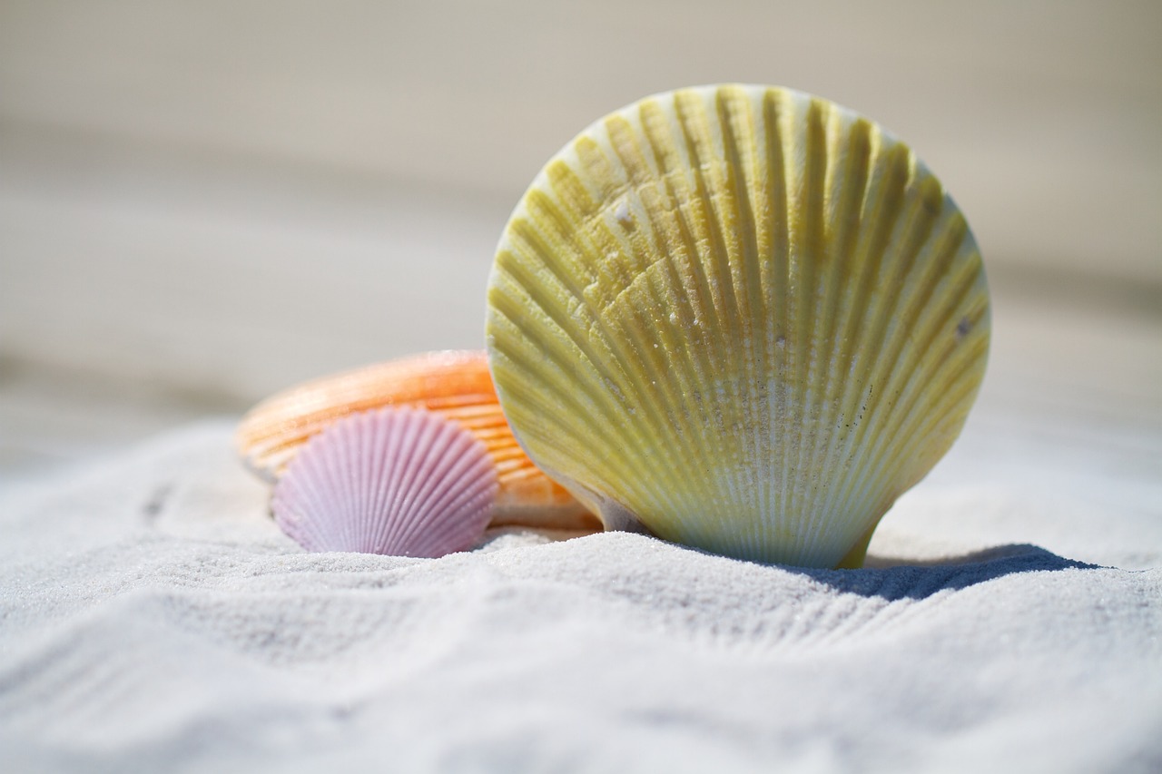 Sandy's: The Clown That Couldn't Compete with Ronald (image credits: pixabay)