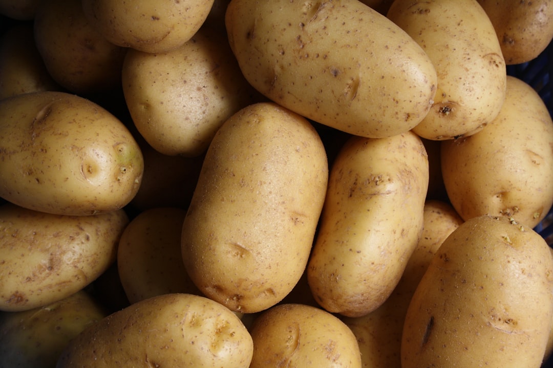 Processing and Ingredients: What’s Really in Your Fries? (image credits: unsplash)