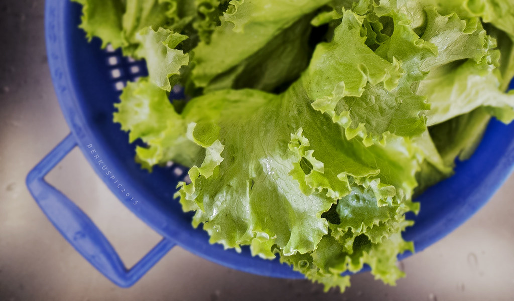 Leaf Lettuce Leaves Iceberg Behind (image credits: flickr)