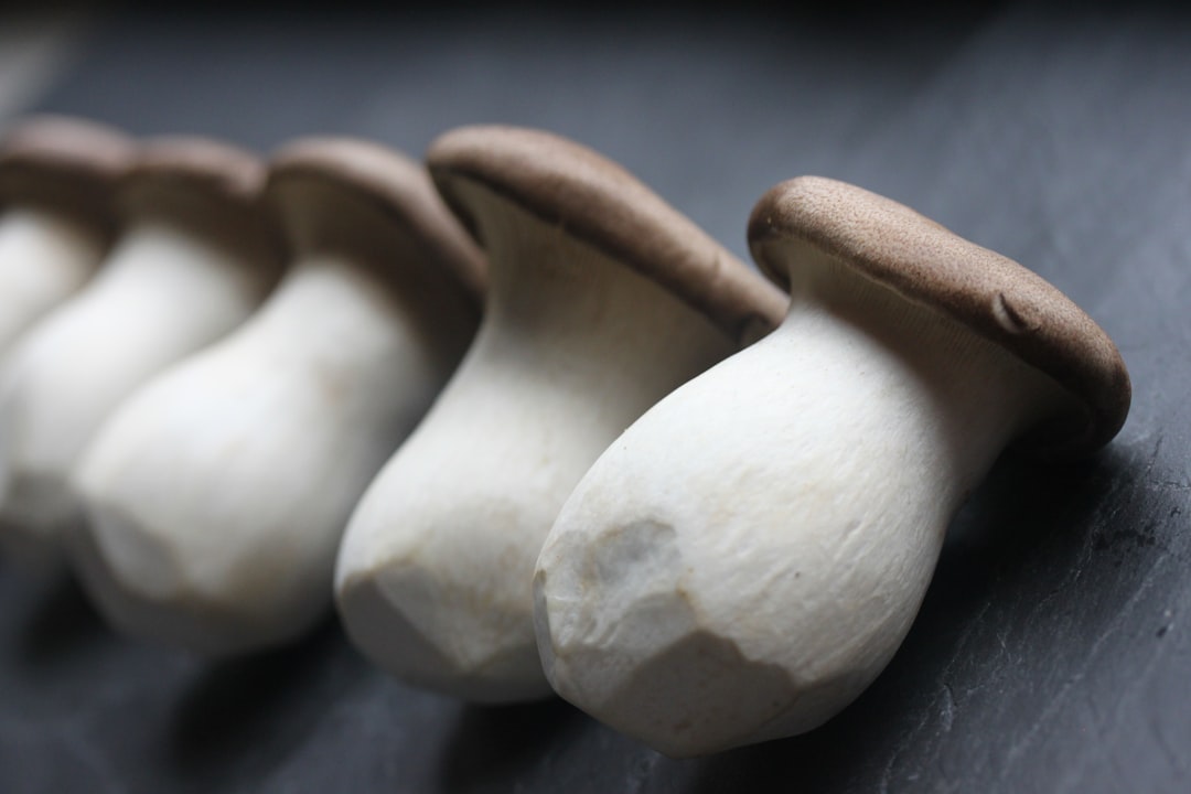 King Oyster Mushrooms - The Meat Alternative Superstars (image credits: unsplash)