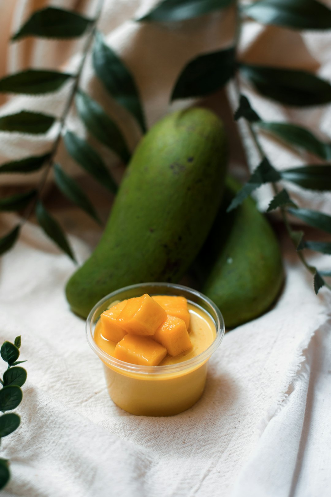 Understanding Disposable Meal Containers (image credits: unsplash)