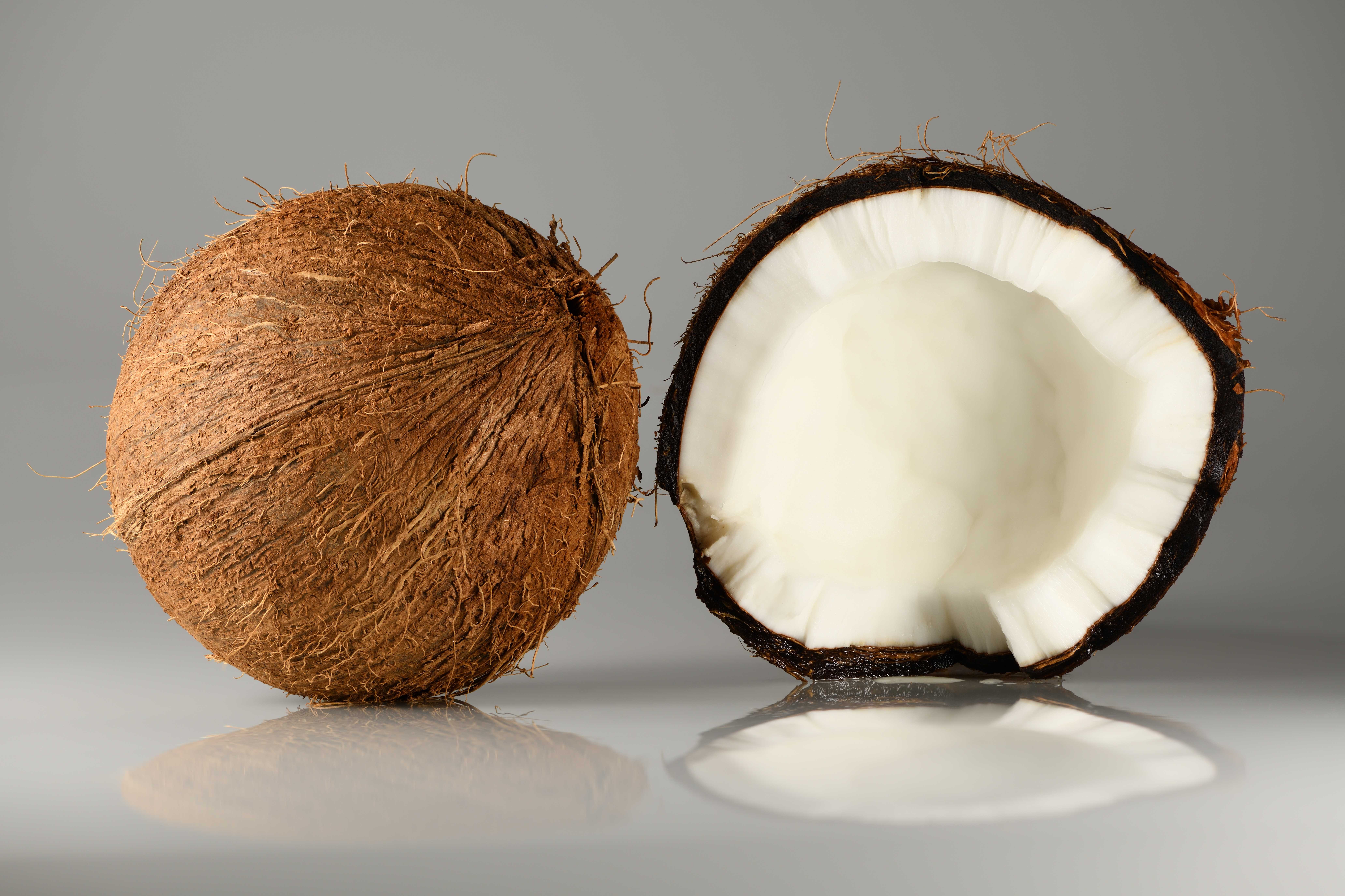 Nutritional Powerhouse: What Makes Coconut Special? (image credits: wikimedia)