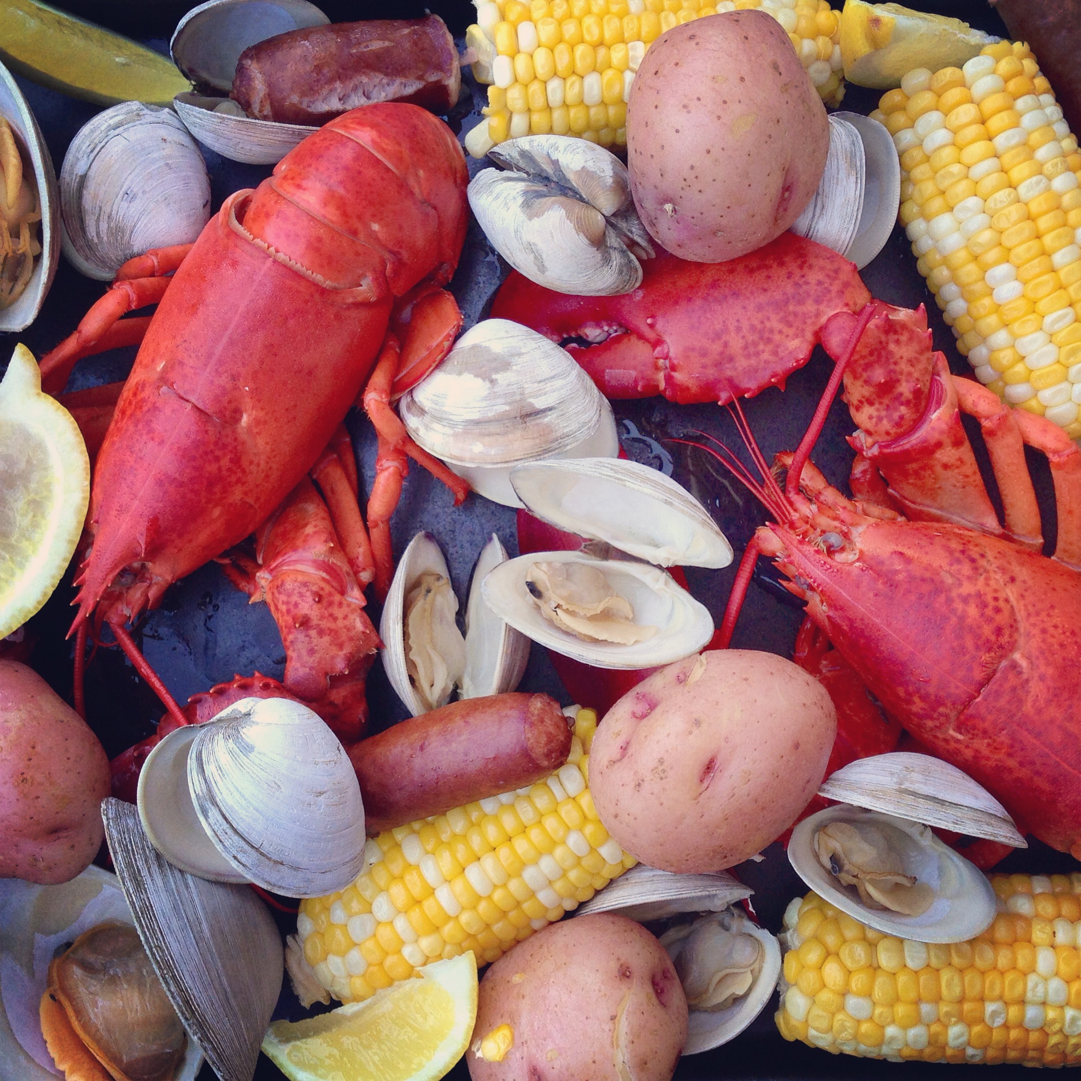 The Future of Clambakes (image credits: wikimedia)