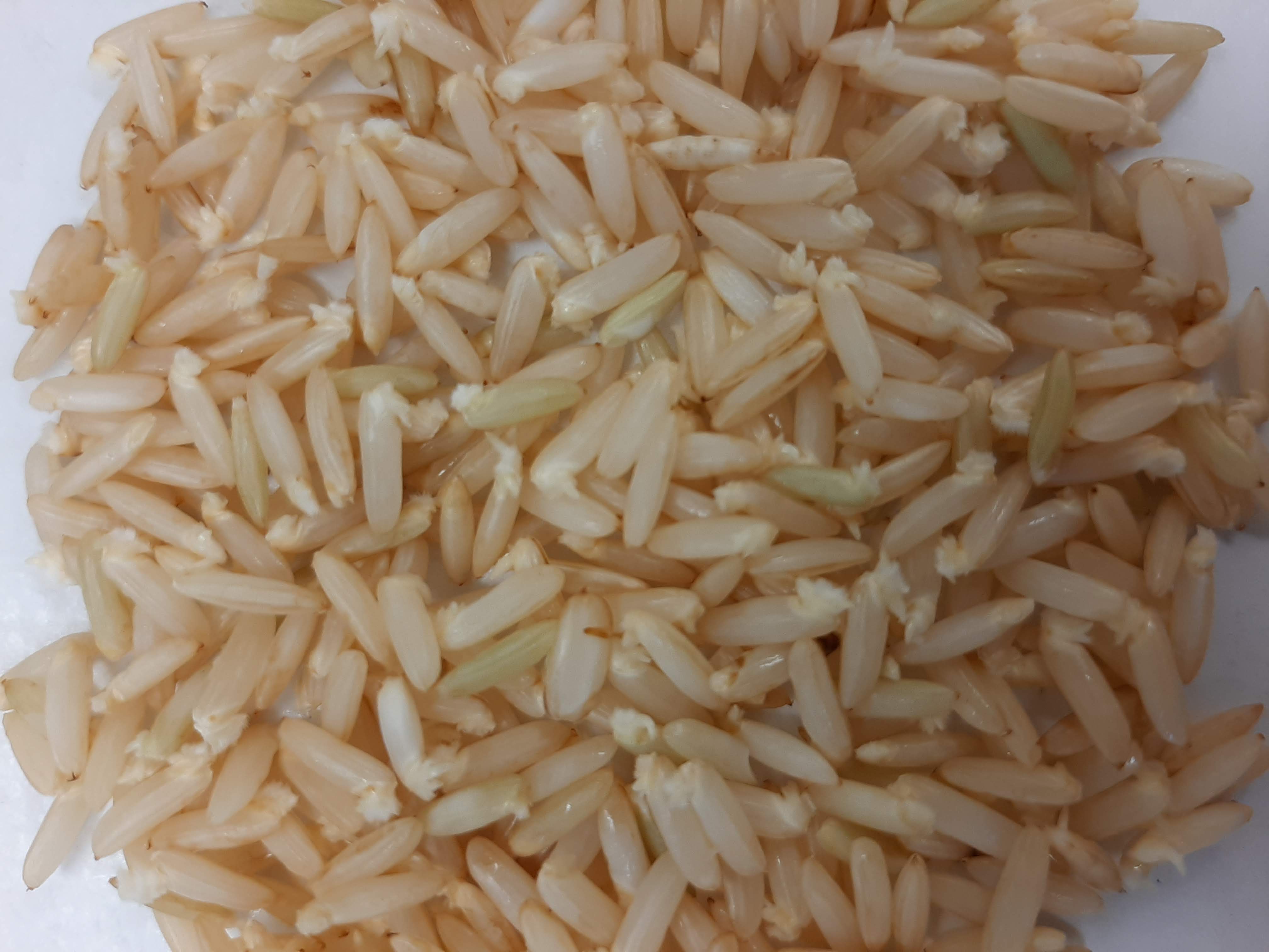 Brown Rice: The Whole Grain Starter (image credits: wikimedia)