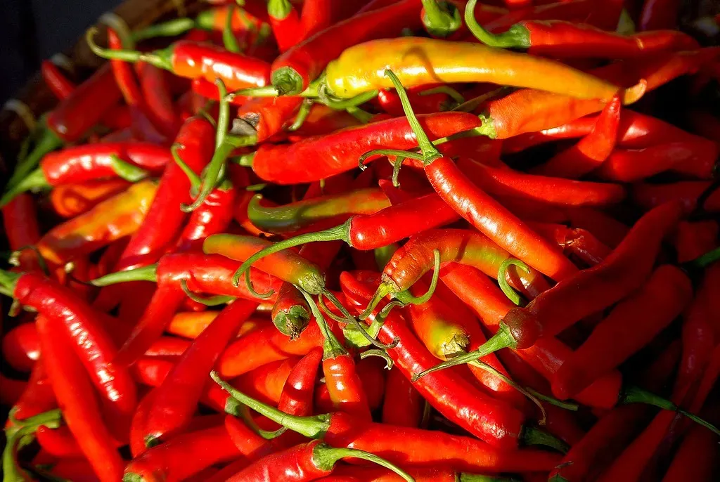Mars and Heat: Why Fire Signs Love Fire Flavors (Image Credits: Flickr)