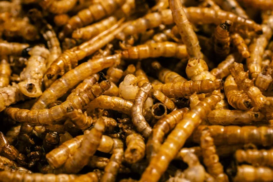 Insect Protein: Niche, Efficient, and Growing Fast (Image Credits: Pexels)