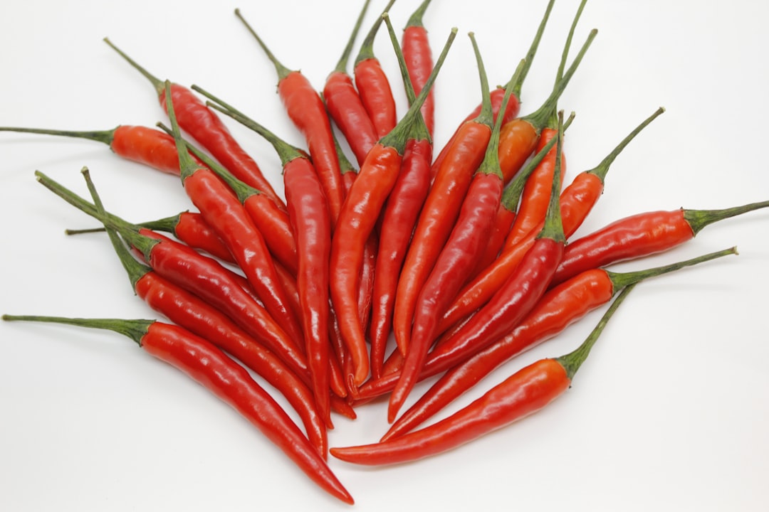 Understanding GMOs: The Basics (image credits: unsplash)