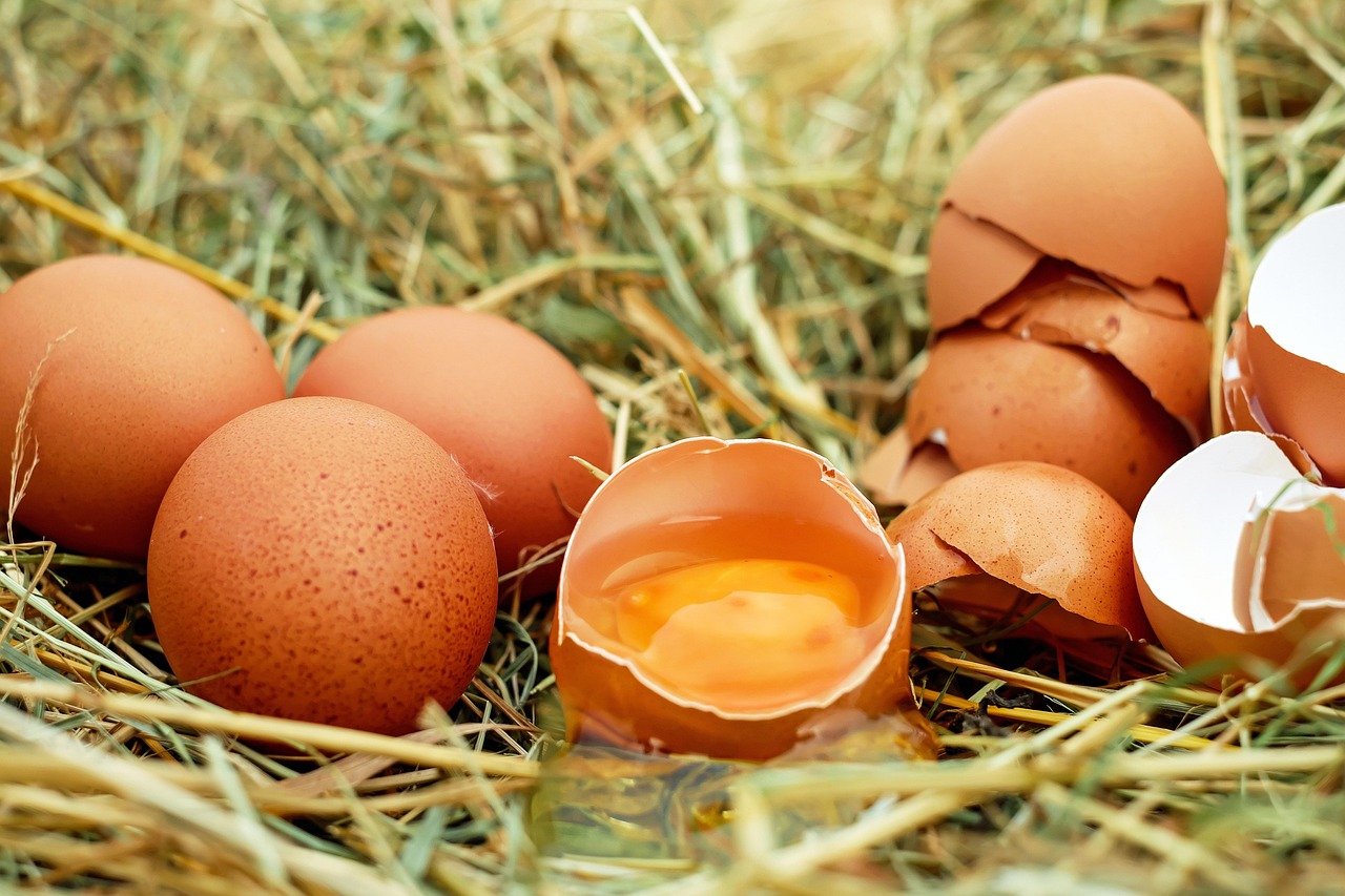 Eggshells: The Sharp Debris Collectors (image credits: pixabay)