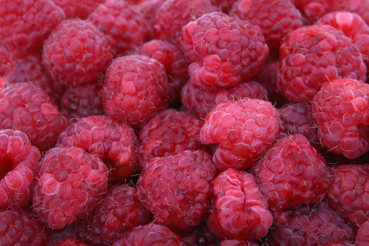 5. Seasonal Eating for Cost Efficiency (image credits: pixabay)