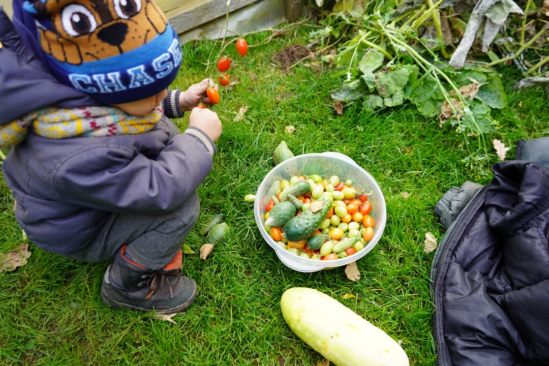 Bring the Kids for an Educational Adventure (image credits: unsplash)