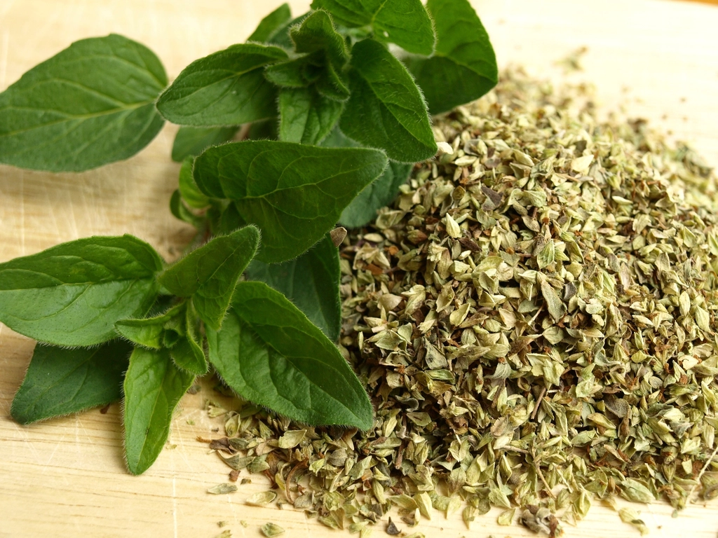 Oregano - The Mediterranean Essential (image credits: rawpixel)