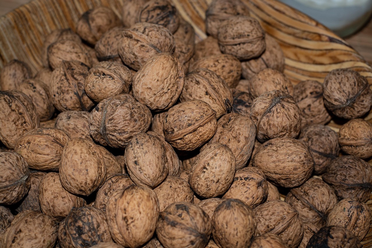 Walnuts: Omega-3 Superstar (image credits: pixabay)