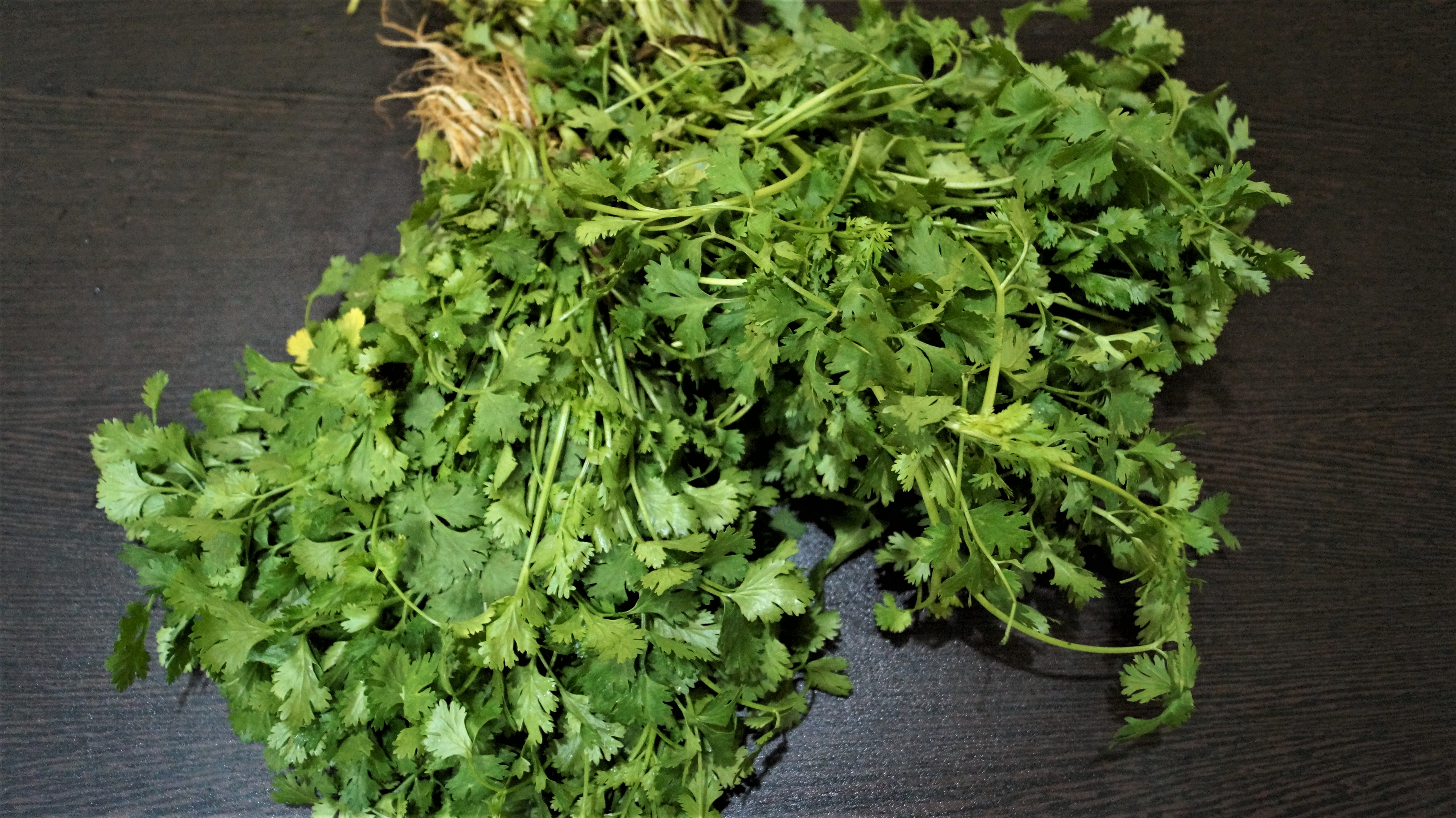 Coriander: The Confusing Spice (image credits: wikimedia)