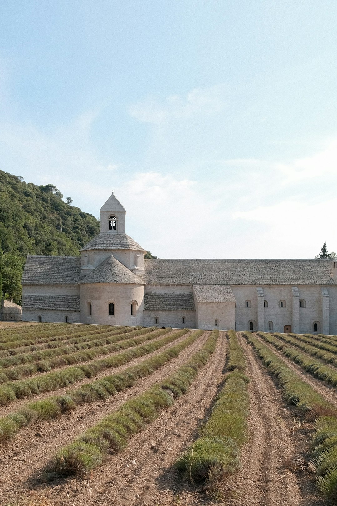 Wine: The Sacred Liquid That Built Europe's Vineyards (image credits: unsplash)
