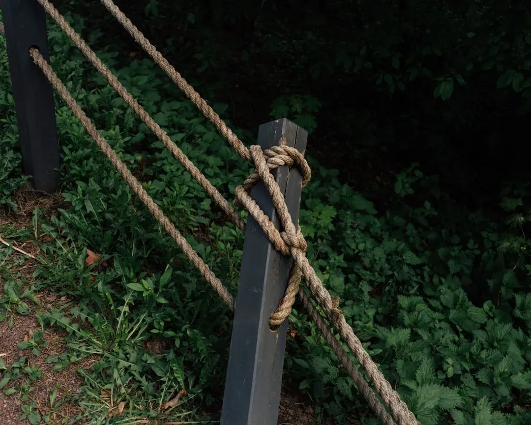 Why Setting These Boundaries Is Actually Healthy (Image Credits: Unsplash)