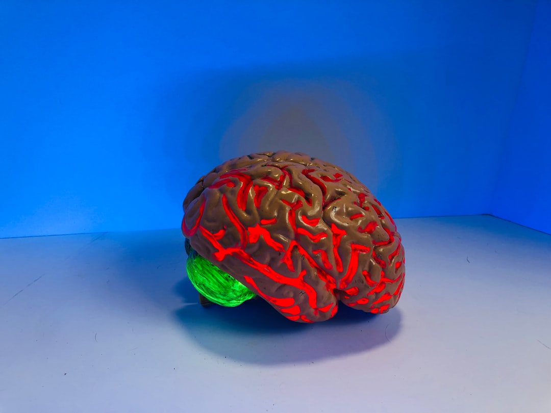 Alzheimer’s Disease and Other Types of Dementia (image credits: unsplash)