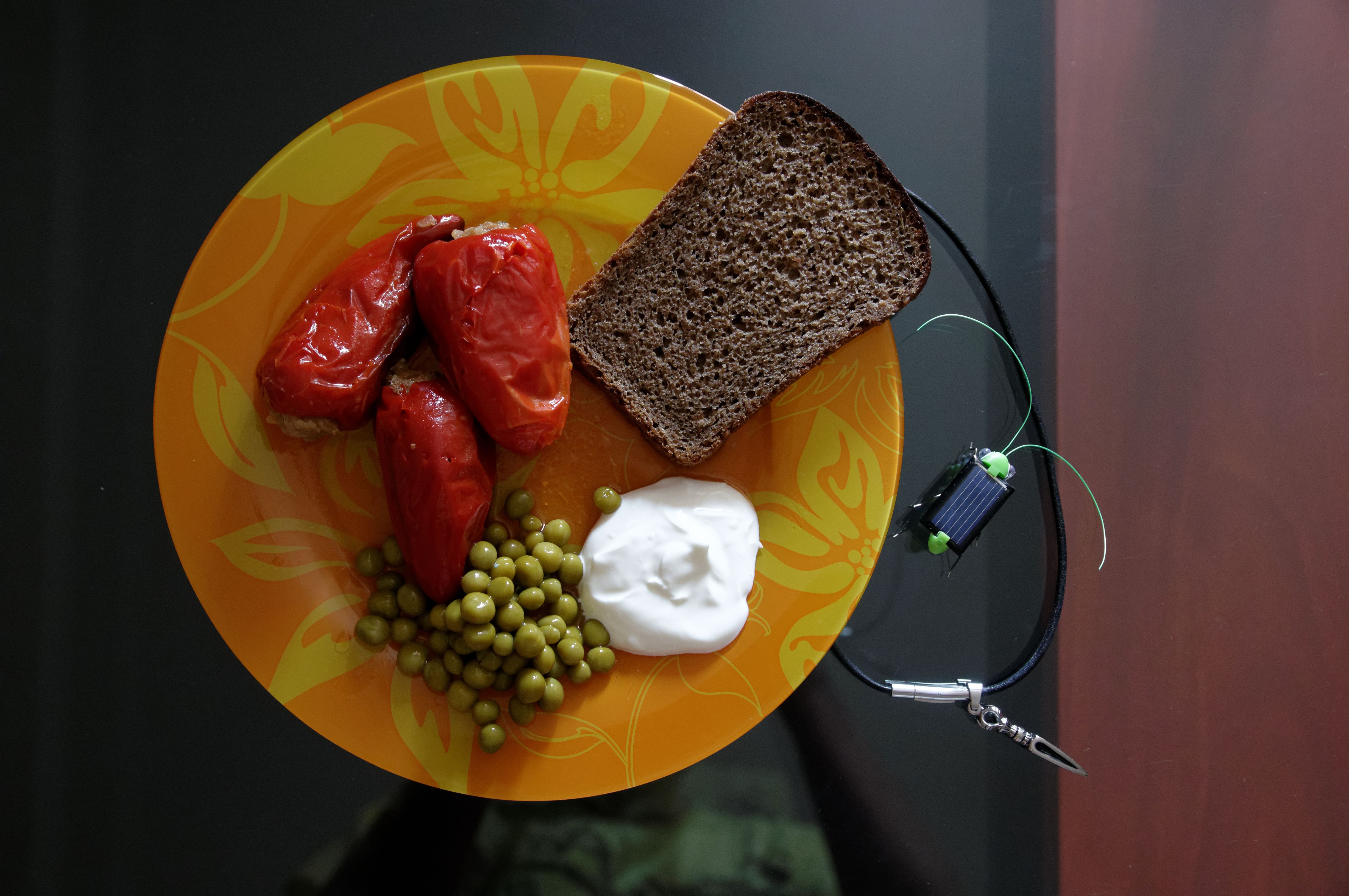 Rye in the Culinary World: Beyond Bread and Whiskey (image credits: wikimedia)