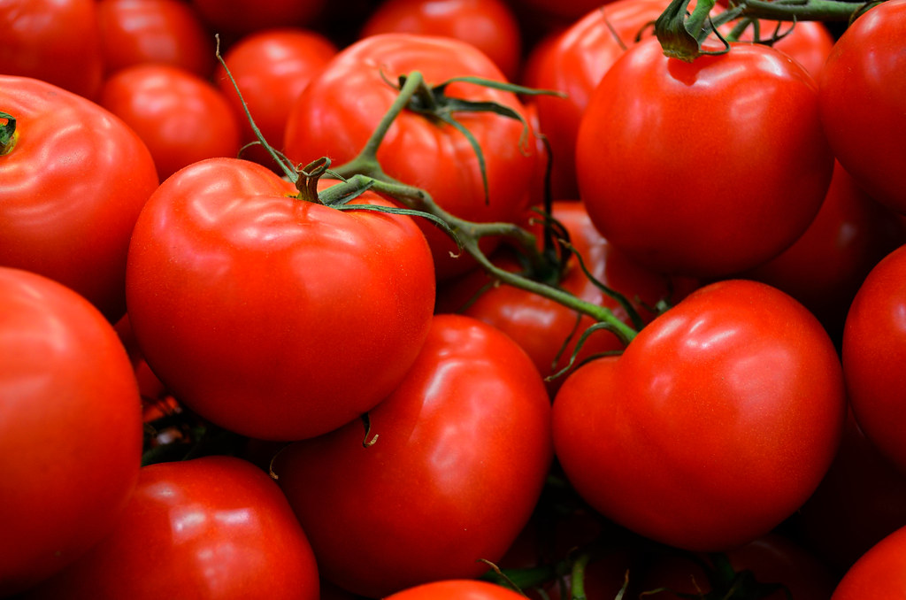 Tomatoes: The Poster Child of Lost Flavor (Image Credits: Flickr)