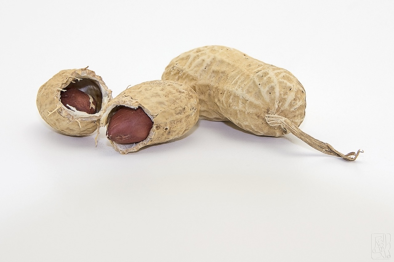 Peanuts Prove Their Worth Despite Not Being True Nuts (image credits: pixabay)