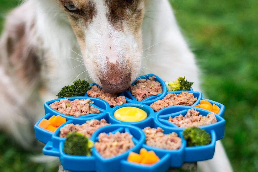 Contaminated and Poor-Quality Ingredients (image credits: unsplash)