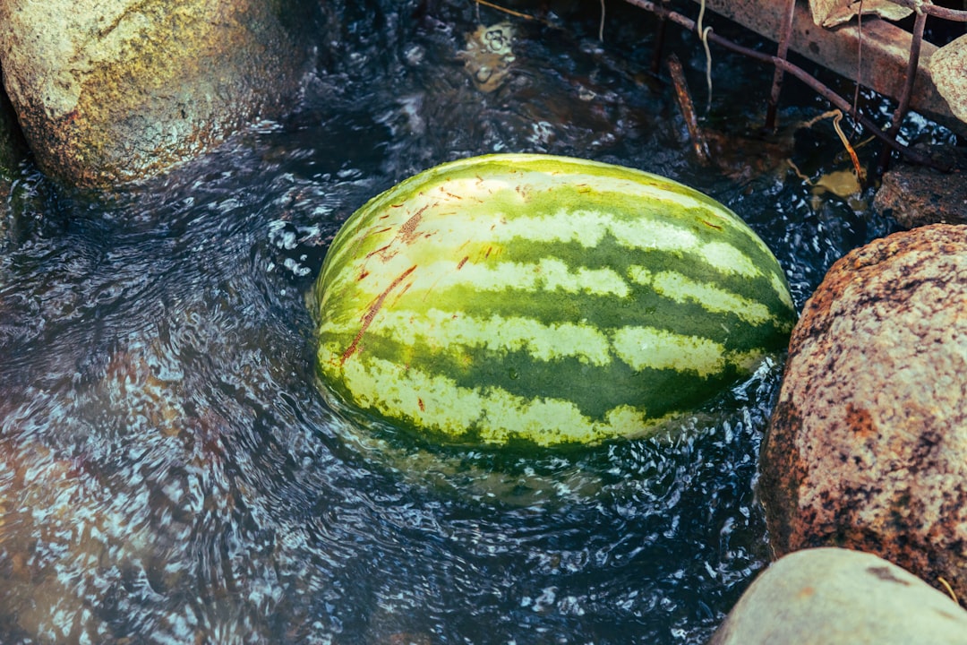Melons and Their Surprising Secret (image credits: unsplash)