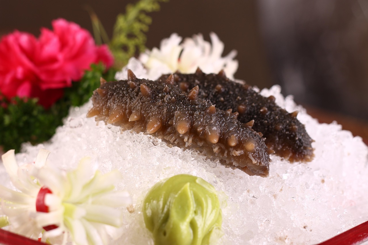 Sea Cucumber (image credits: pixabay)