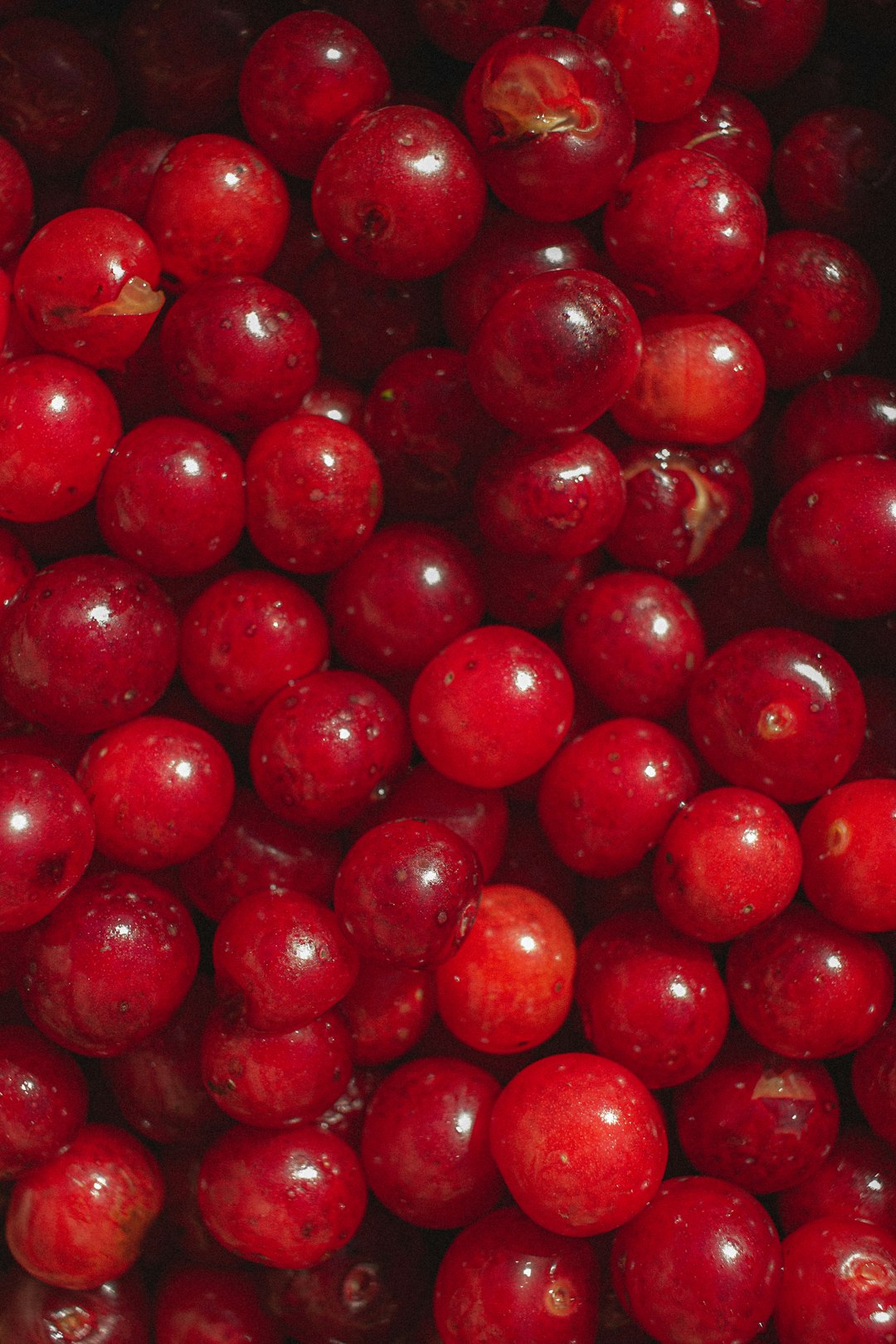 Cranberries: Nature's Urinary Tract Protector (image credits: unsplash)