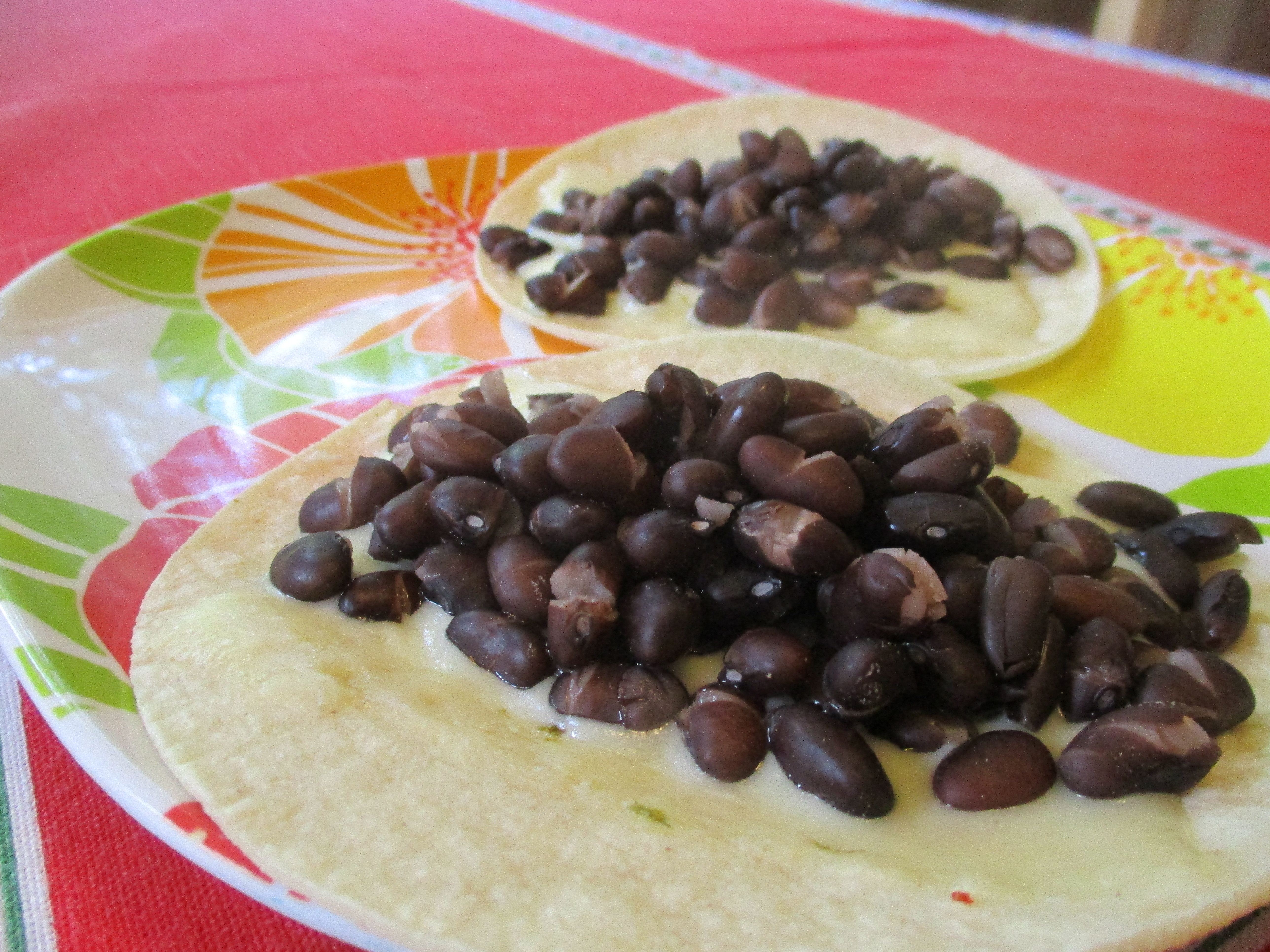 Black Beans and Lentils: Fiber-Packed Powerhouses (image credits: wikimedia)