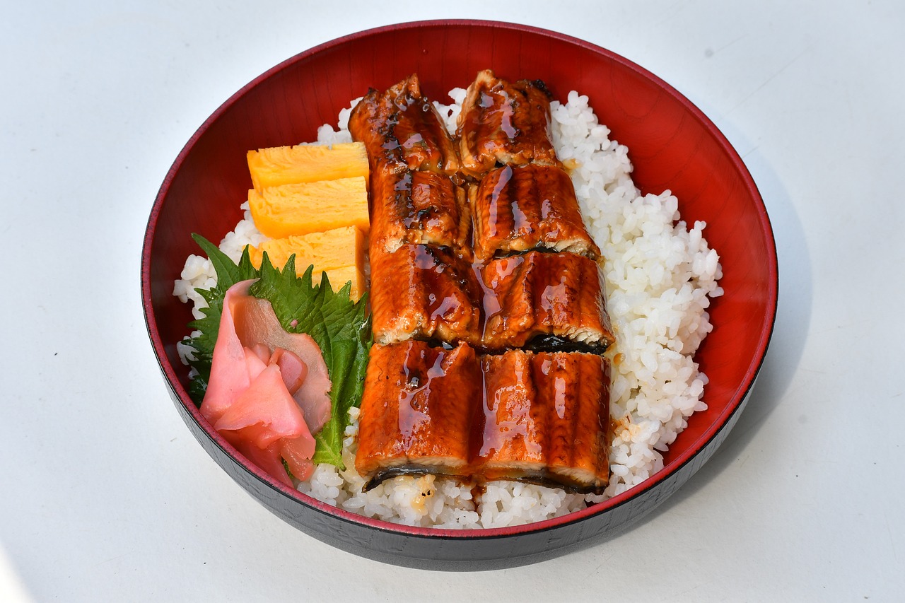 Japan’s Balanced Approach (image credits: pixabay)