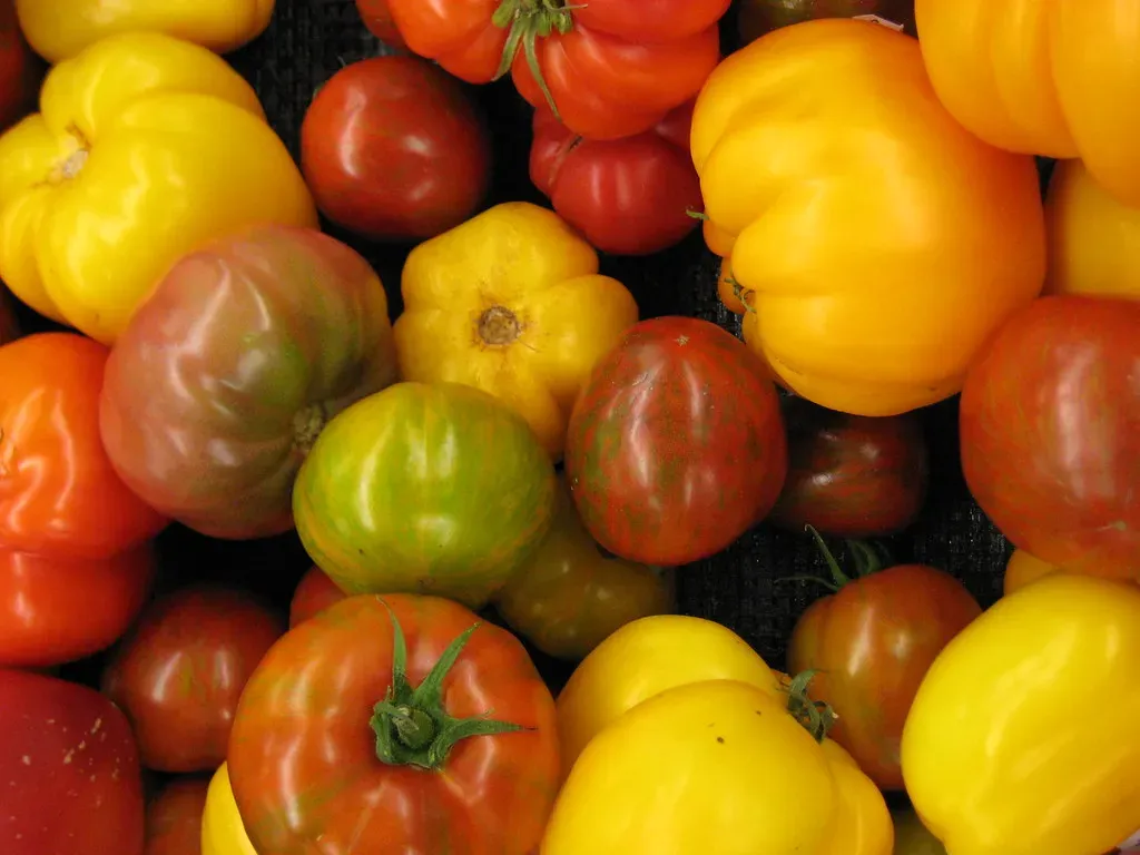 The Bigger Picture: Why Cooking with Heirlooms Actually Matters (mrsdkrebs, Flickr, CC BY 2.0)