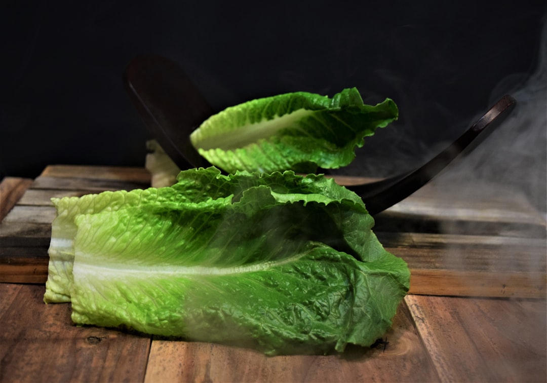 The Carbon Dioxide Trick That Sounds Crazy But Works (image credits: unsplash)