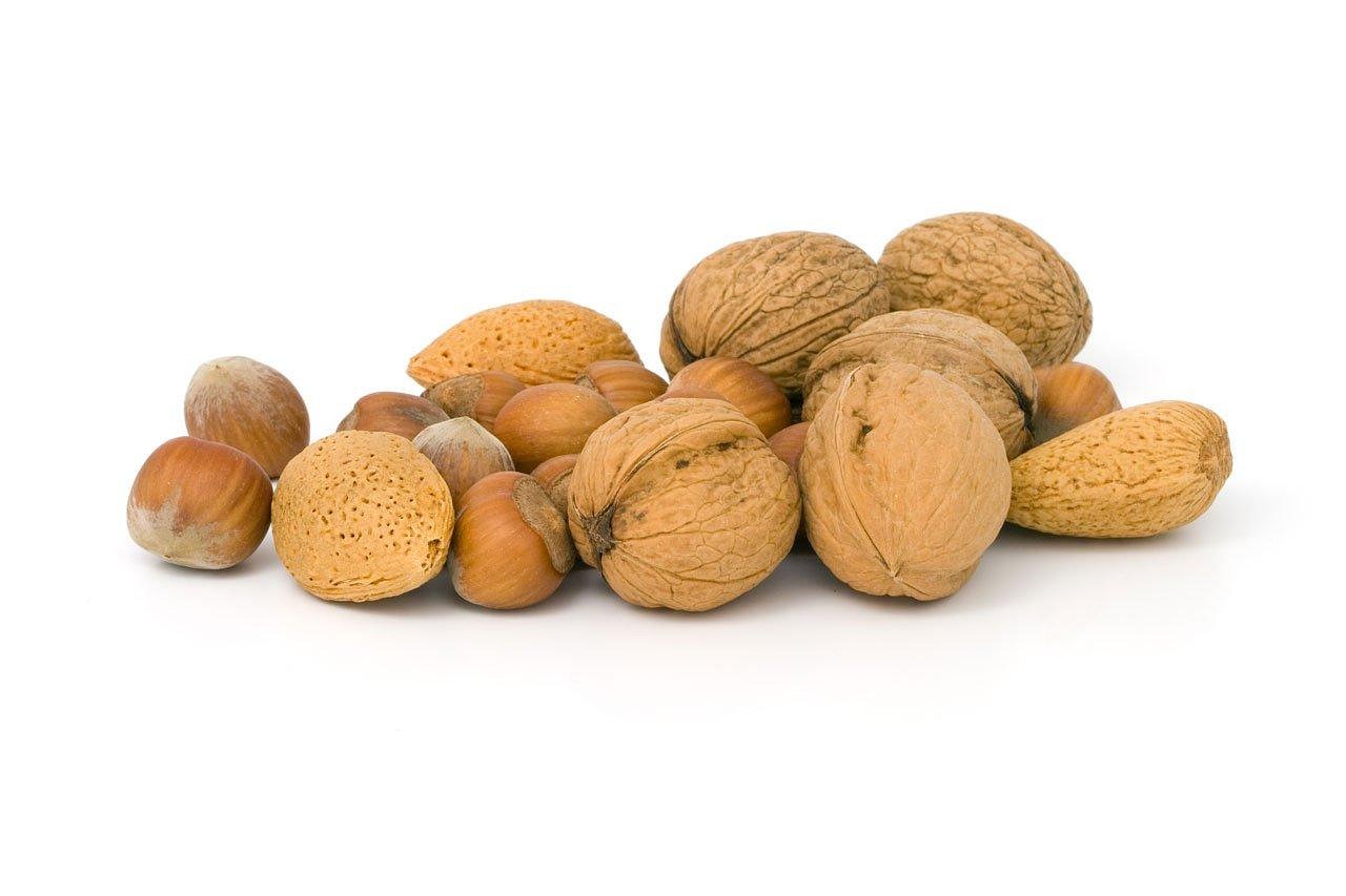 Nuts (Walnuts, Almonds, Hazelnuts) (image credits: pixabay)