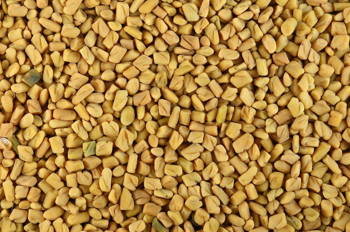 5. Fenugreek Seeds: Nature’s Insulin Mimic (image credits: wikimedia)