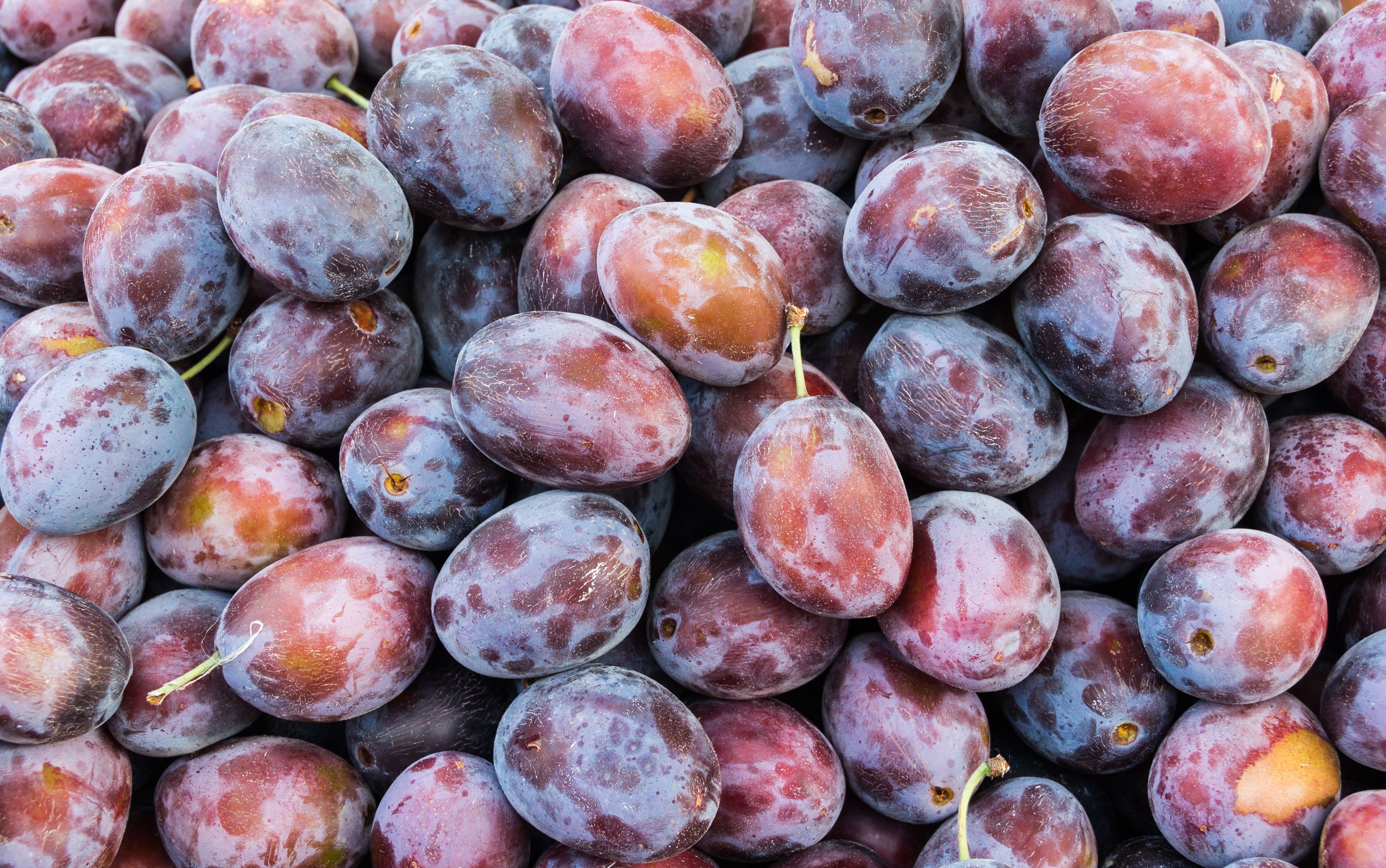 Plums and Prunes: Nature’s Digestive Remedy (image credits: wikimedia)